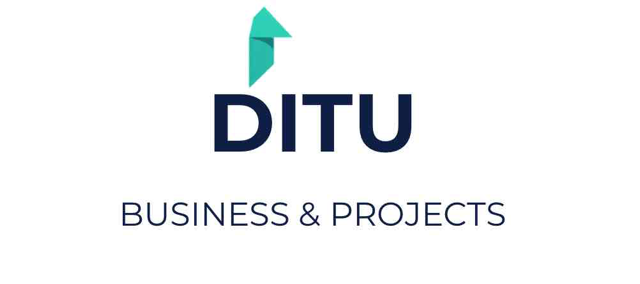 dituprojects.com